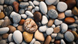 © Vodkaz - pebbles close up