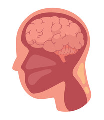 Wall Mural - profile brain human illustration