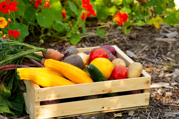 Wall Mural - Various vegetables in wooden crate near flower bed in the garden.