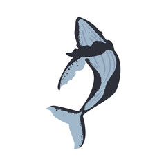 Sticker - humpback sealife cetacean