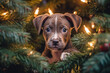 Cute dog puppy in Christmas tree with lights