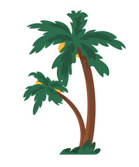 Tropical vegetation, palm tree with leaves vector