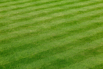 Grass mowed neatly into stripes