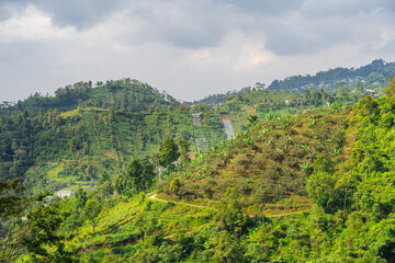 Wall Mural - Slopes of the Gunung Lawu Volcano, Java, Indonesia