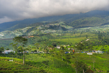 Wall Mural - Slopes of the Gunung Lawu Volcano, Java, Indonesia