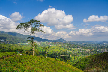 Wall Mural - Slopes of the Gunung Lawu Volcano, Java, Indonesia