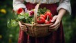 Woman's hands holding wicker basket with freshly picked homegrown produce