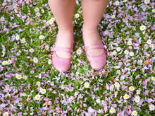 Young Girl Feet And Legs Wearing Pink Shoes Standing On A Lawn Covered With Petals And Flowers
