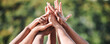© Talia Mdlungu/peopleimages.com - People, teamwork and high five in nature, support or collaboration for motivation or outdoor goals. Closeup of group hands together in team building, solidarity or trust in unity or community outside