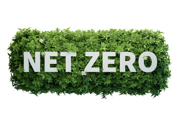 Wall Mural - Netzero on green bush, renewable energy carbon and business ESG government concept. 3d rendering illustration.