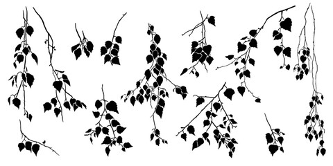 birch tree branch with leaves. collection of various isolated silhouettes. vector nature template.