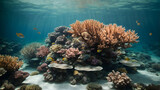Fototapeta Do akwarium - Underwater view of the coral reef. 