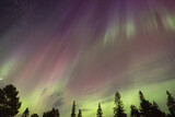 Fototapeta Tęcza - Aurora - Polarlichter - Lappland 