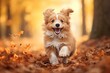 Adorable pet dog happily running in autumn leaves