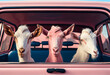 Three goats sitting in a car. AI Generated
