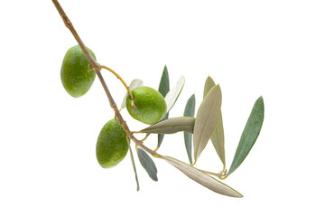 Wall Mural - branch with green olives isolated