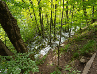 Poster - Landscape of Plitvice Lakes, Croatia