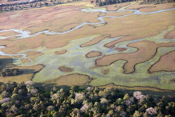 Wall Mural - Aerial view to Pantanal jungle in Brasil.