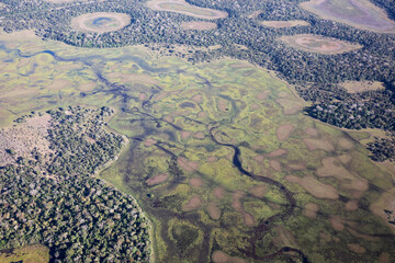 Wall Mural - Aerial view to Pantanal jungle in Brasil.