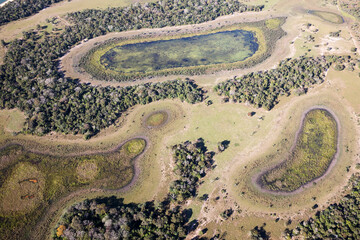 Wall Mural - Aerial view to Pantanal jungle in Brasil.