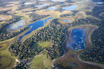 Wall Mural - Aerial view to Pantanal jungle in Brasil.