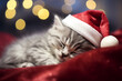 a gray kitten in a New Years Santas hat sleeps sweetly a, generative ai