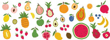 Collection Of Vector Colorful Fruits Berries. Tropical Fruits, Citrus Fruits. Graphic Elements For Design