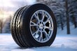 Winter tires depicted in 3D