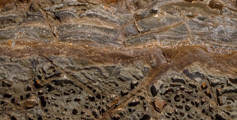 Canvas Print - close up of a stone