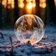 Snow globe in the forest