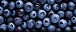 Fresh blueberries background, water sprinkled berries closeup