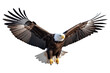 Bald eagle flying on skies on transparent background, Generative AI