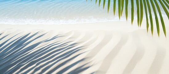 Wall Mural - Abstract beach background with palm leaf shadows sunlit water perfect for a summer vacation banner