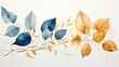 Golden and blue tree leaves on white background. Great for wall art and home decor. Beautiful transparent golden blue leaves on isolated white background