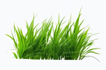 green grass on a white screen backgroundg enerative ai