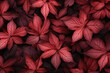 Autumn-themed background in a dark salmon color