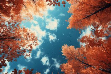 Wall Mural - Autumn foliage in deep sky blue background