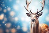 Fototapeta Zwierzęta - Close up of a Christmas reindeer on blurred background with lights and drifting snow flakes
