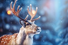 Close Up Of A Christmas Reindeer On Blurred Winter Pine Forest Background With Lights And Drifting Snow Flakes