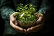 Hände halten Glaskugel mit Pflanzen: Symbol für Erde und Umweltschutz