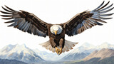 Fototapeta Na ścianę -  A drawing of a bald eagle flying in the air