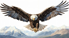  A Drawing Of A Bald Eagle Flying In The Air