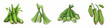 Set of cartoon okra vegetable illustration, isolated on white background