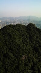 Wall Mural - Aerial vertical video of Lion Rock and Hong Kong city