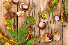 Top View Of Fallen Chestnuts With Colorful Horse Chestnut Leaves On Wooden Terrace, Autumn Background With Chestnuts