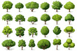 A set of green trees or bushes, depicted from a top view and isolated on a white background, serves as design elements for landscape or architecture plans