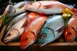 An assortment of fresh fish on display in the bustling market