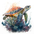 watercolour painting of endangered hawksbill turtle 