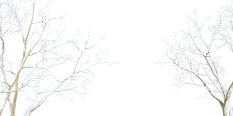 Wall Mural - Branches with snow isolated on white background