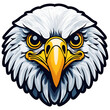 Cartoon eagle Bird Face / Head looking forward, isolated on white background Logo Icon